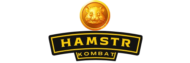 hamster kombat coin